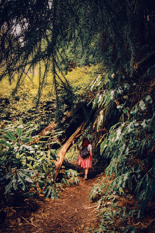 Woman Walking Under Trees