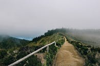 葡萄牙亚速尔群岛的一条山路上雾气缭绕，呈现出一片宁静的户外风景