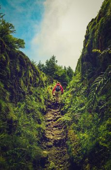 徒步旅行者徒步穿越亚速尔群岛的郁郁葱葱绿地，非常适合自然和冒险主题