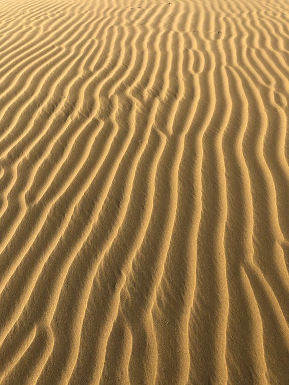 texture of sand 