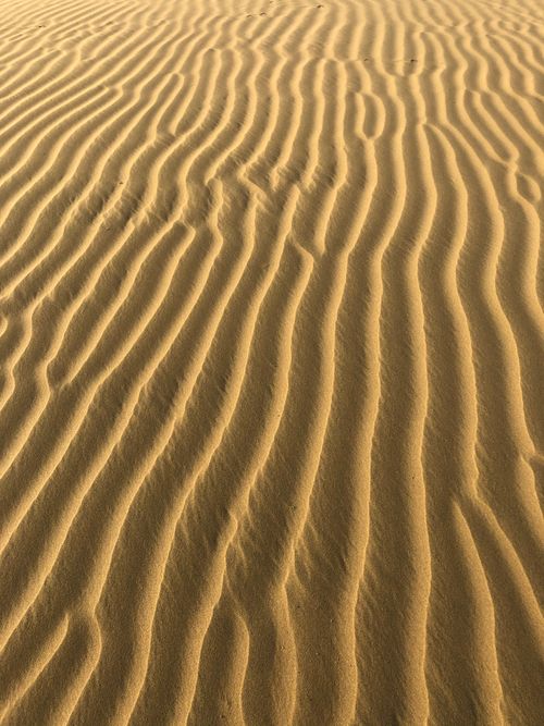 Free A captivating view of rippling sand patterns in a serene desert. Stock Photo