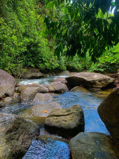 Free Serene scene of a river flowing through lush greenery with large rocks, capturing nature's tranquility. Stock Photo