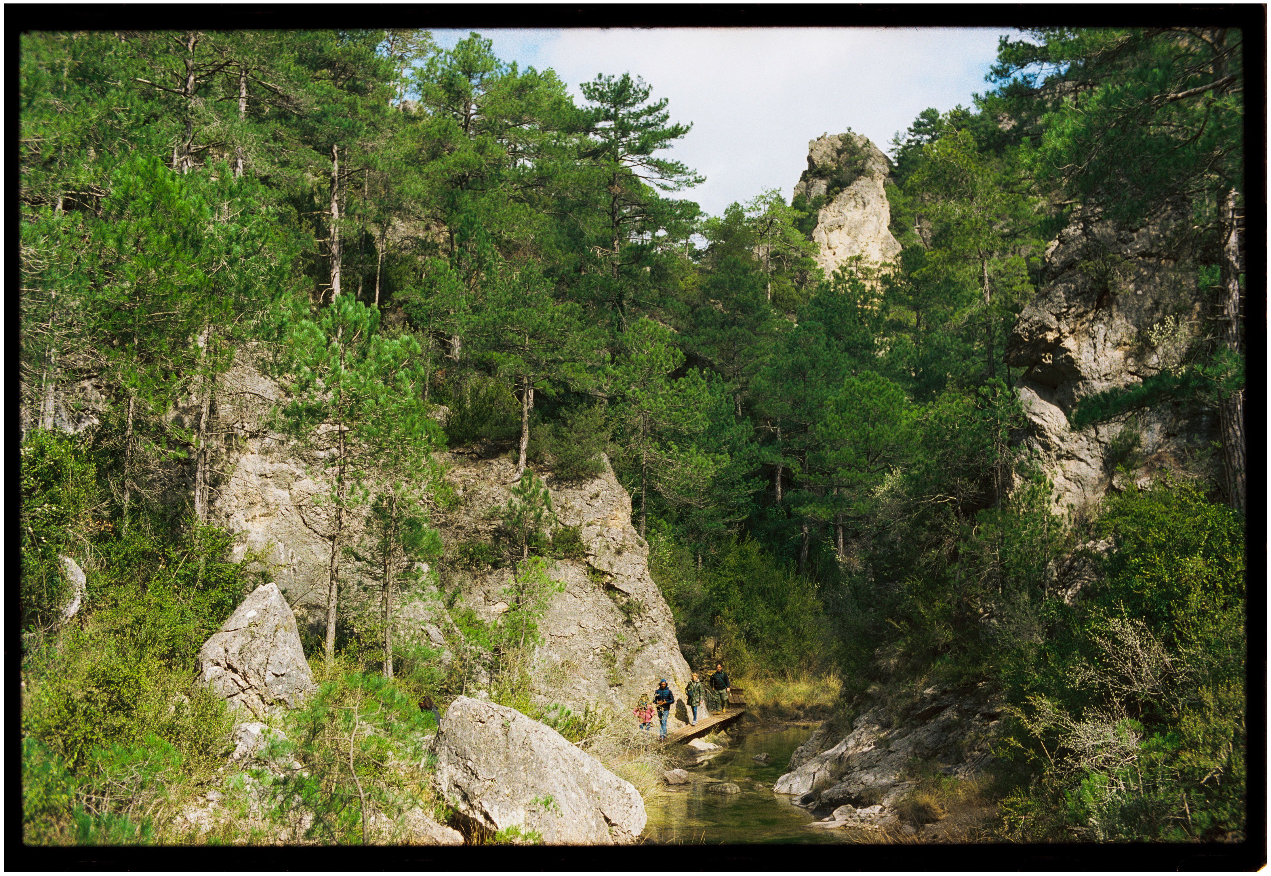Randonnée botanique aux Gorges de la Diosaz avec un naturaliste local