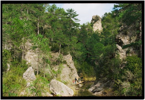 Δωρεάν στοκ φωτογραφιών με rock, βουνό, δέντρο