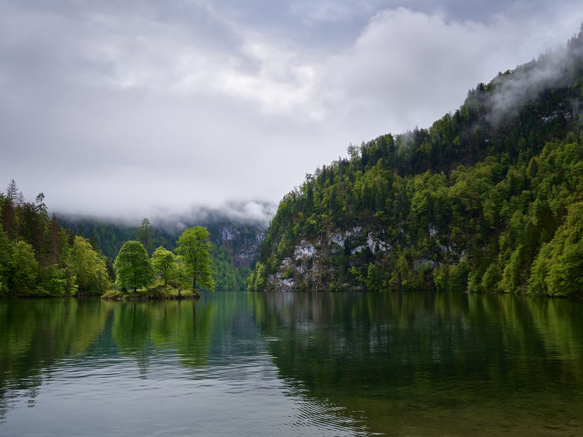 7 Day Spring Awakening Panchakarma & Wellness in Germany 2