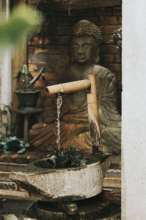 Gratis lagerfoto af bambus, buddha, container