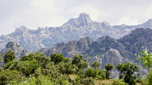 A mountain range with trees and bushes in the foreground