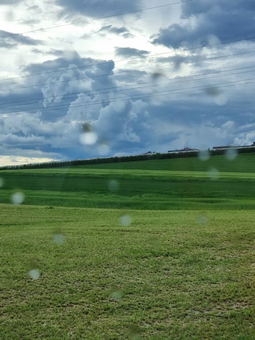 Photos gratuites de amour vert, après la pluie, fond de nature