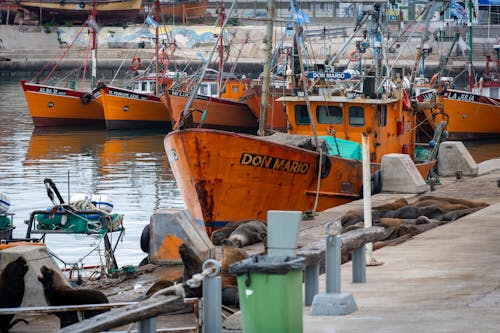 ペスカ, 公海, 港の無料の写真素材