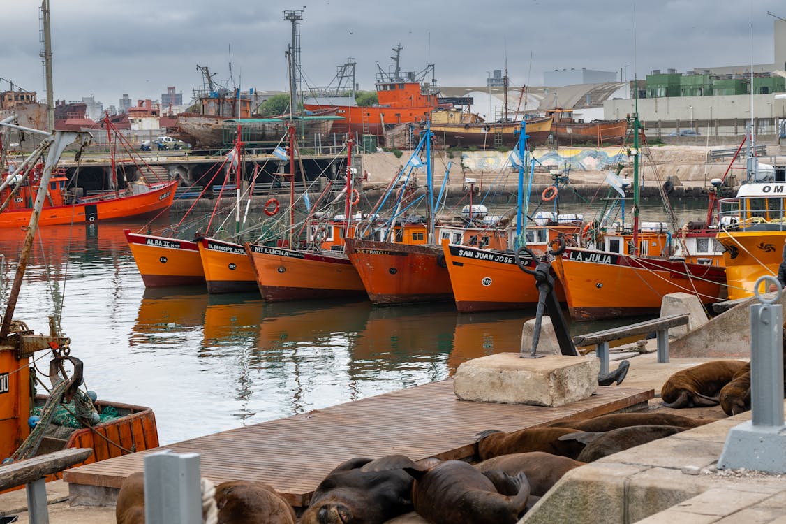 Kostnadsfri bild av barcos pesqueiros, båtar, hamn