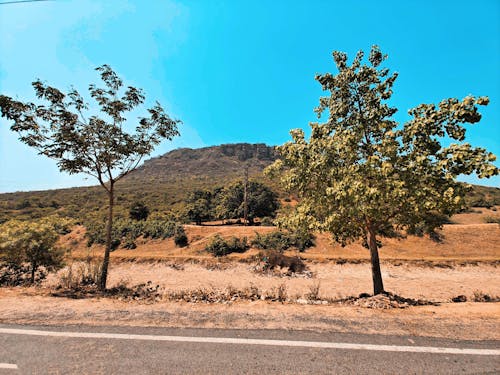 Foto stok gratis bukit, daerah pegunungan, desa gunung