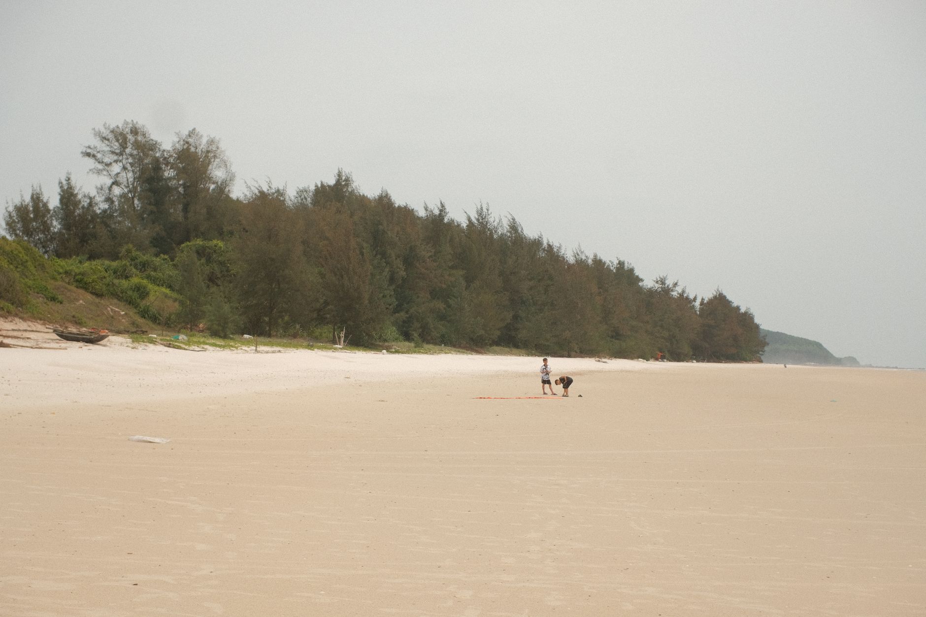 Expansive sandy beach with forest backdrop in Quảng Ninh, Vietnam.