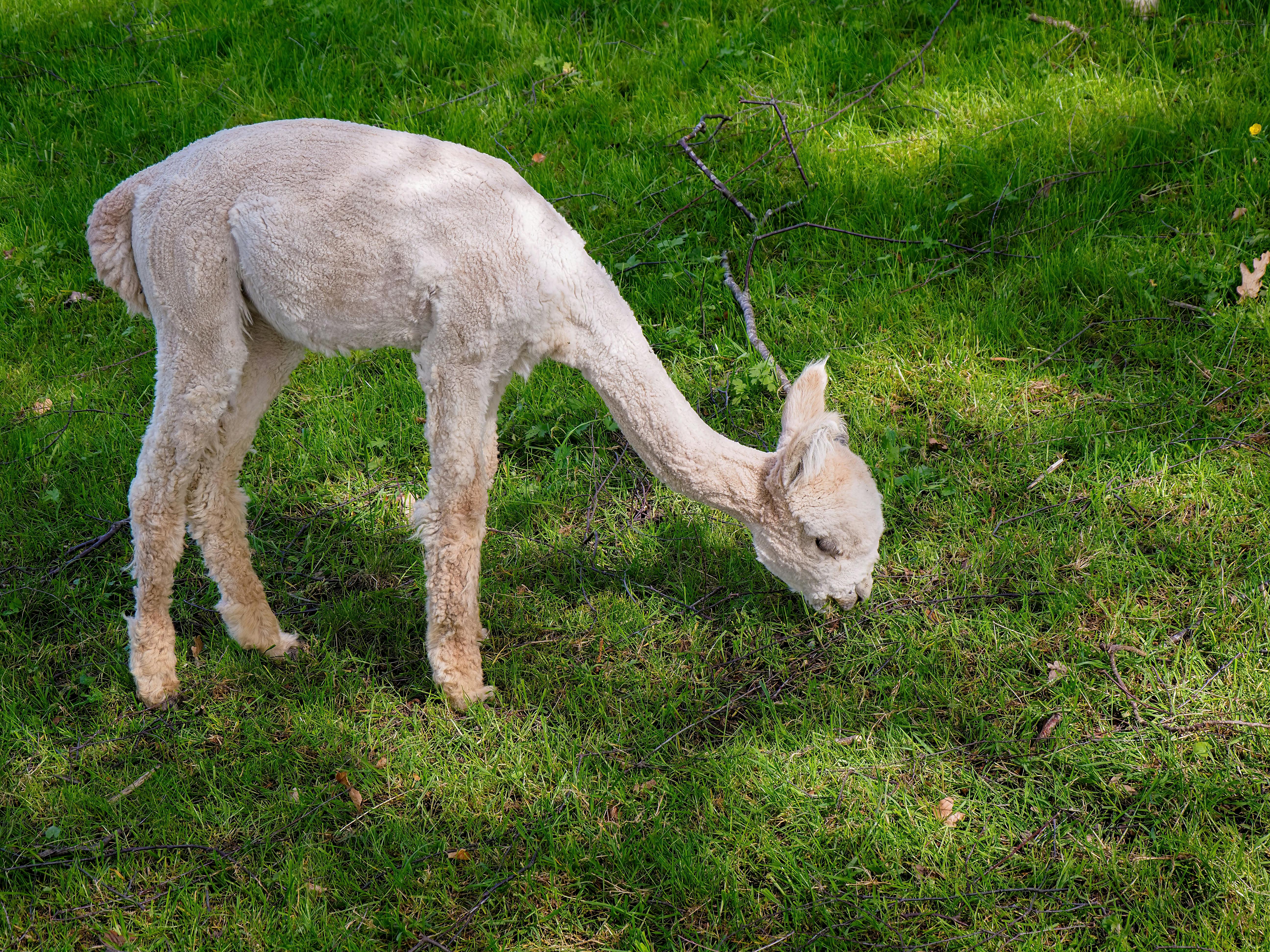 5 Einfache Schritte zur Maximierung Ihres Linkjuices für Höhere Rankings