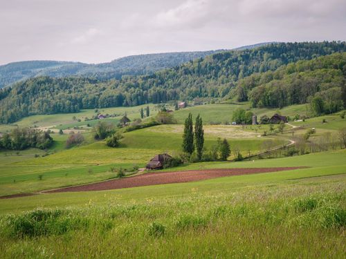 Free Peaceful rural landscape with green fields and hills in summer. Stock Photo