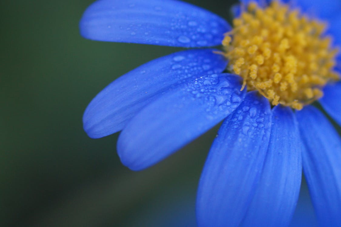小蘇打如何革新蝦類養殖?華盛頓州科學家揭開海洋生物新祕密 小蘇打如何革新蝦類養殖?華盛頓州科學家揭開海洋生物新祕密