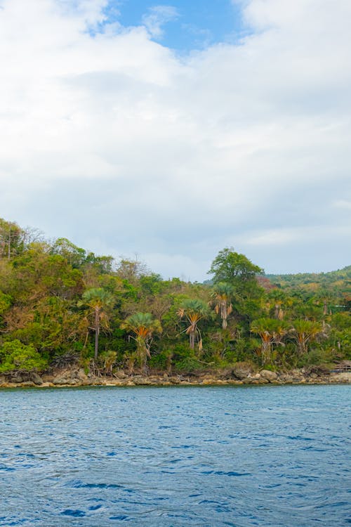 A small island surrounded by trees and water