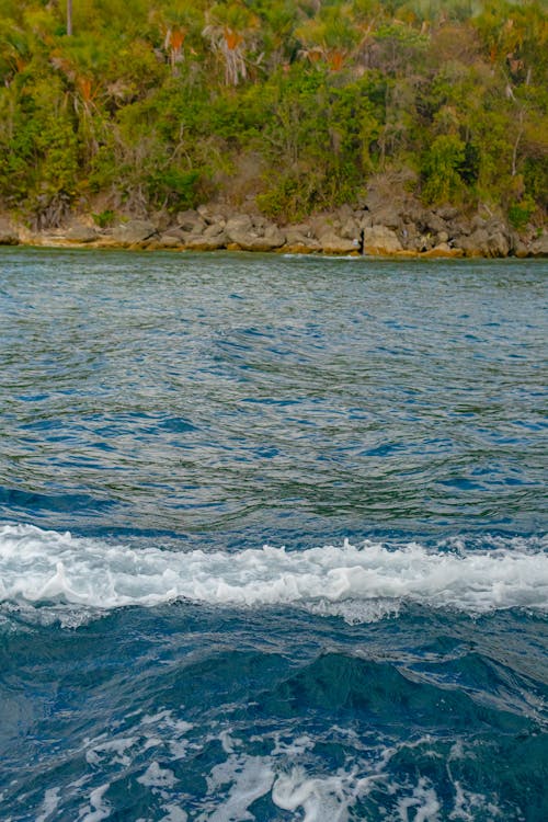 A boat is traveling through the water near a small island