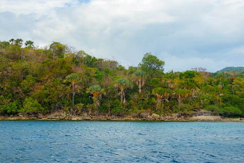 A small island surrounded by trees and water