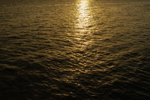 Free Serene golden sunset reflecting over ocean waves, capturing a tranquil and natural beauty. Stock Photo