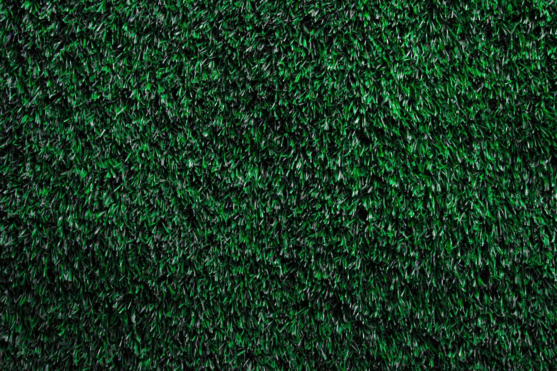 Green Leaves of Bush