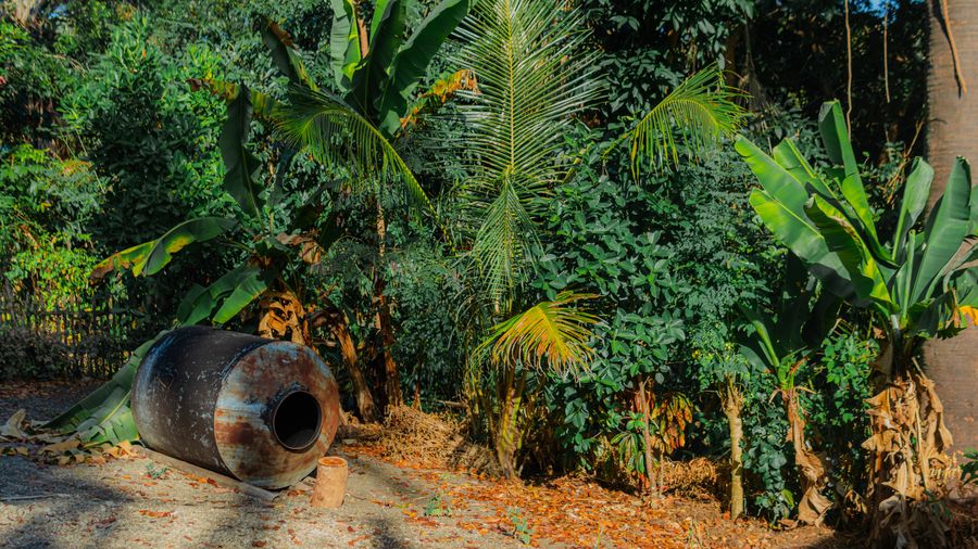 My lawn care nightmare: why I dumped a $300 mower for a $150 push-behind
