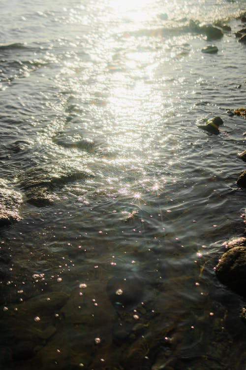 A person is standing in the water near rocks