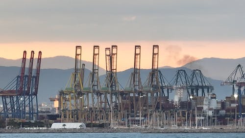 Fotos de stock gratuitas de cerca del mar, grúa, grúas de puerto