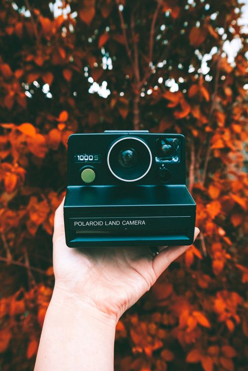 Free A classic Polaroid Land Camera held in a hand, set against autumn foliage, capturing nostalgia and vintage aesthetics. Stock Photo
