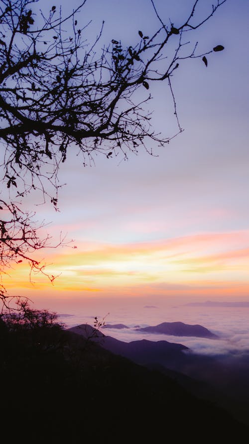 A sunset over the mountains with a tree and a view of the sky