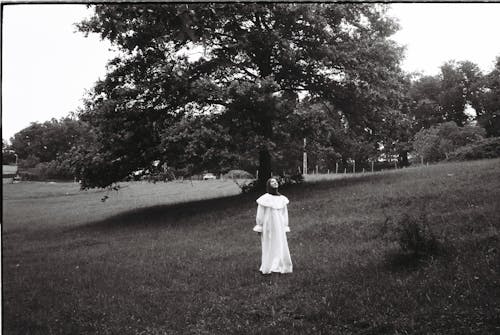 Imagine de stoc gratuită din alb-negru, arbore, femeie