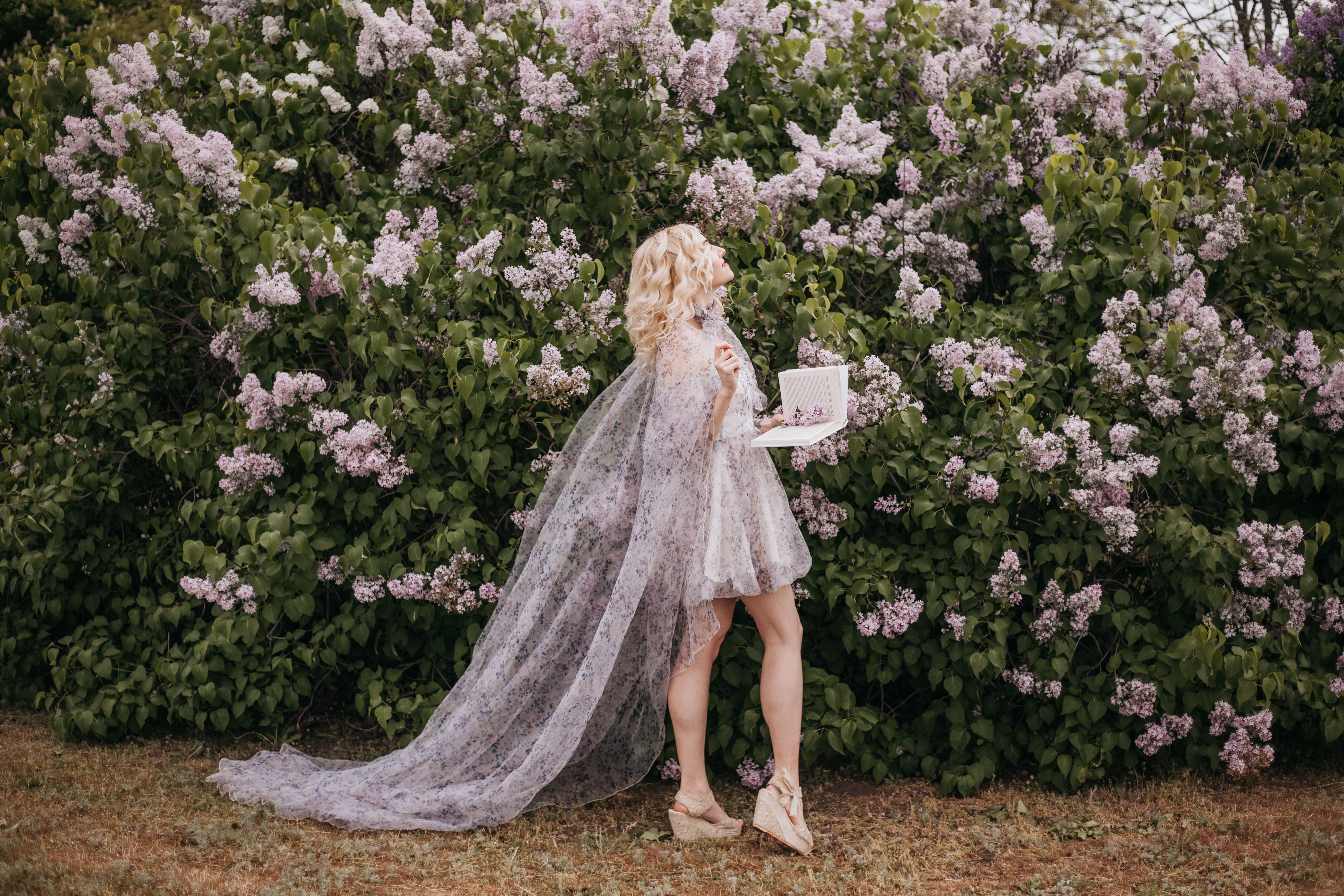 Shoes For Lilac Dress Photos, Download The BEST Free Shoes For Lilac Dress Stock Photos & HD Images Shoes For Lilac Dress Photos, Download The BEST Free Shoes For Lilac Dress Stock Photos & HD Images