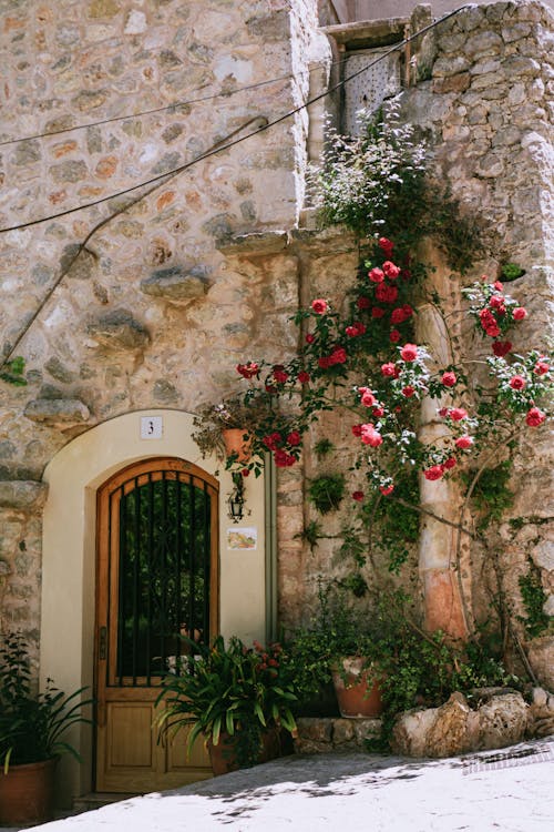 A stone house with roses growing on the wall