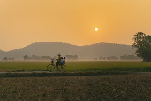 Foto profissional grátis de agricultura, alvorecer, área