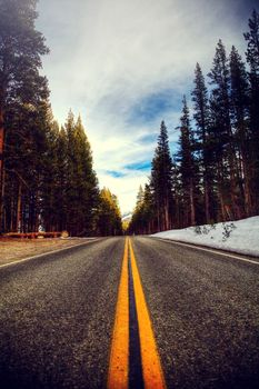 道路两旁，积雪覆盖的松树充满活力，在戏剧性的天空下穿过优胜美地
