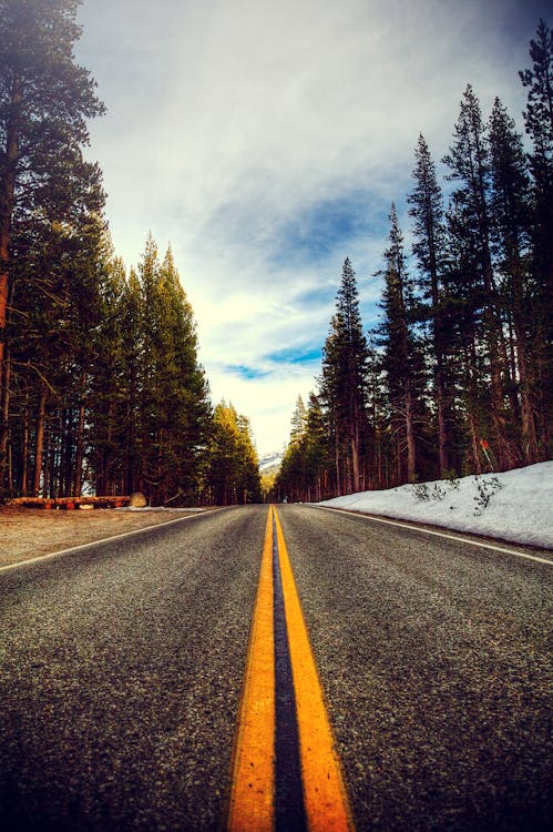 Photo of Roadway During Daytime