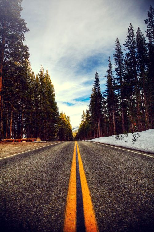Free Vibrant road lined with snow-dusted pines leads through Yosemite under a dramatic sky. Stock Photo