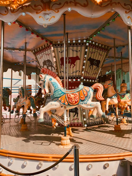 Gratis arkivbilde med dagslys, hest, karneval