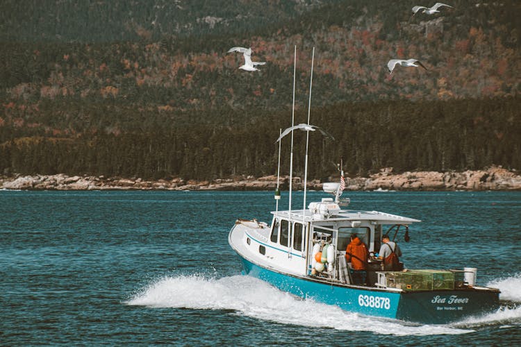 Blue And White Boat