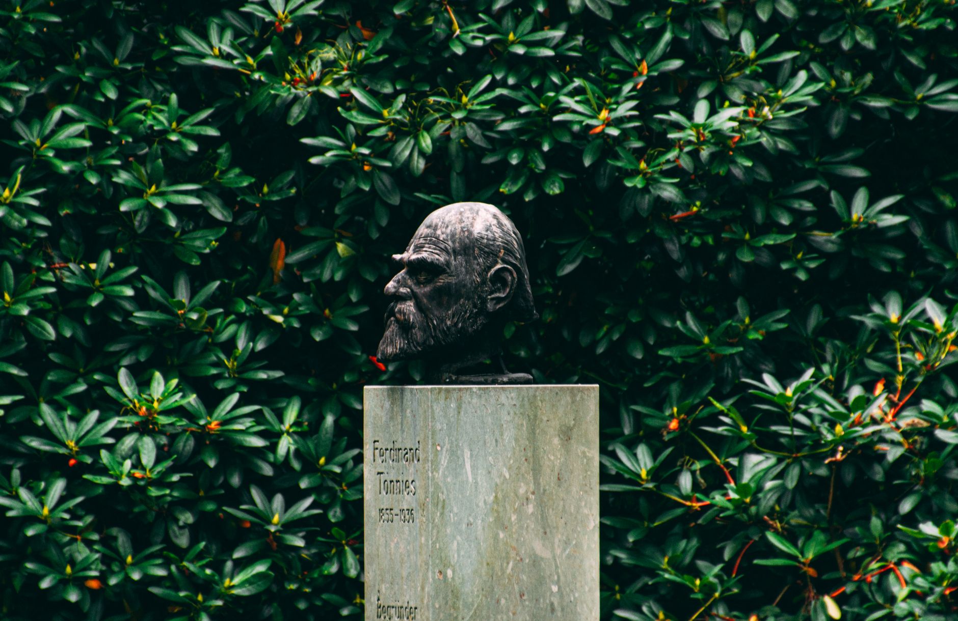 A bronze bust of Ferdinand Tönnies surrounded by lush greenery in a Husum garden.
