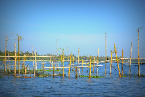 Free stock photo of backwaters, blue, fishing