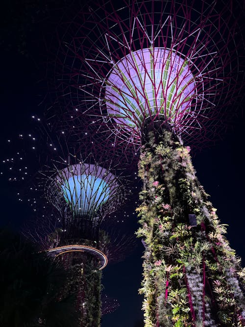 Gardens by the bay at night