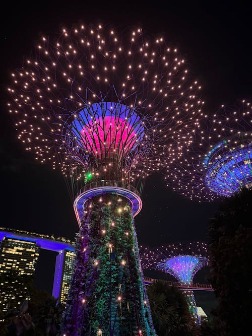 Singapore's gardens by the bay