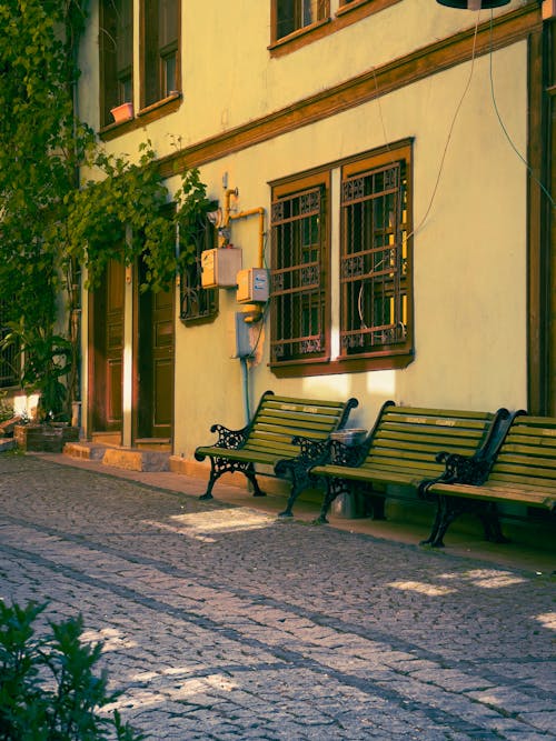 Fotobanka s bezplatnými fotkami na tému architektúra, brečtan, budova