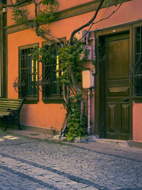 Fotobanka s bezplatnými fotkami na tému architektúra, brečtan, budova