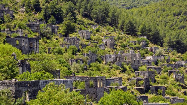 Lush green forest surrounds ancient ruins of abandoned buildings, a beautiful yet mysterious scene.
