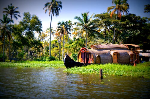 Free stock photo of boats, coconuts, houseboats