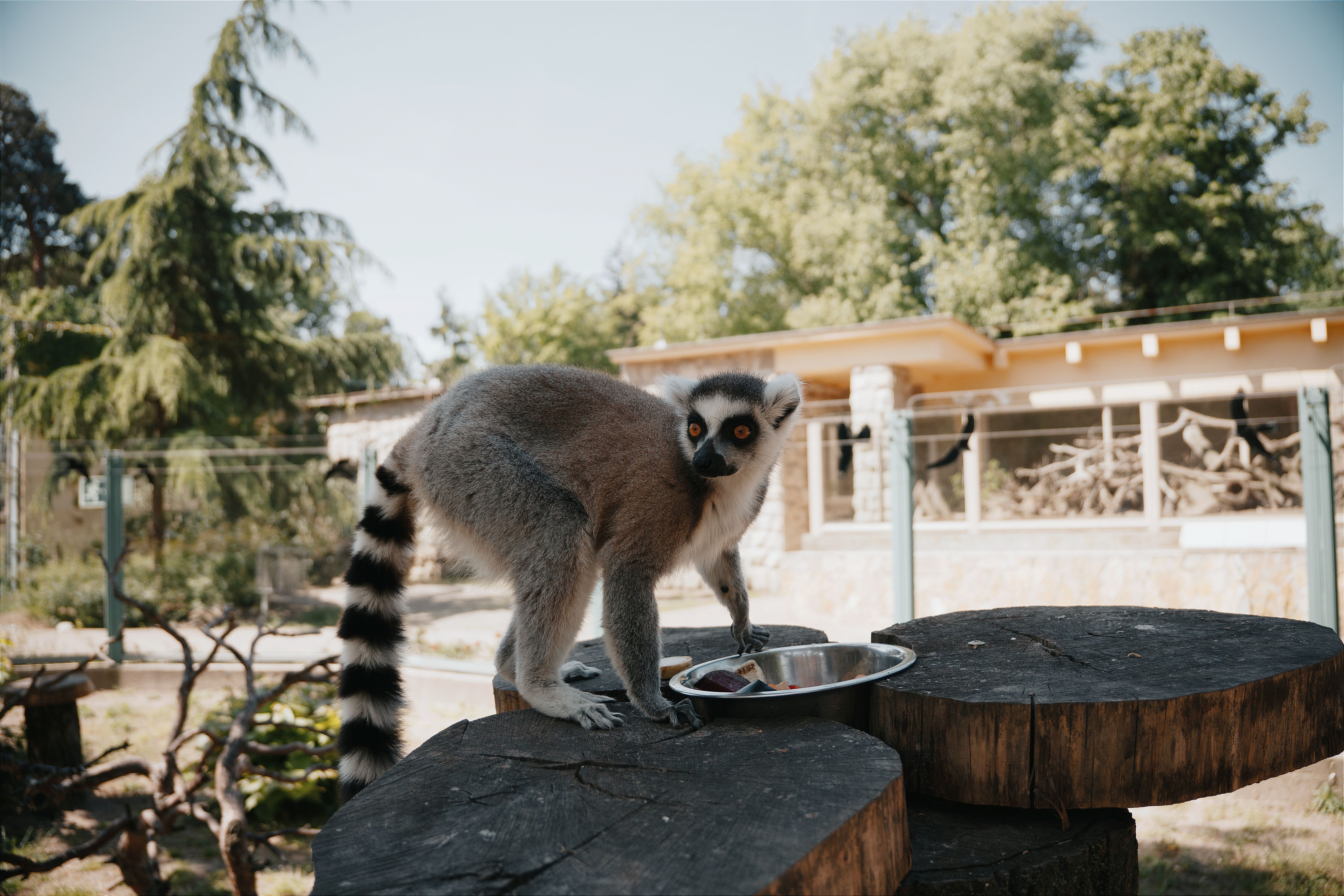 Zoo de Labenne : Incontournable de vos vacances à Capbreton