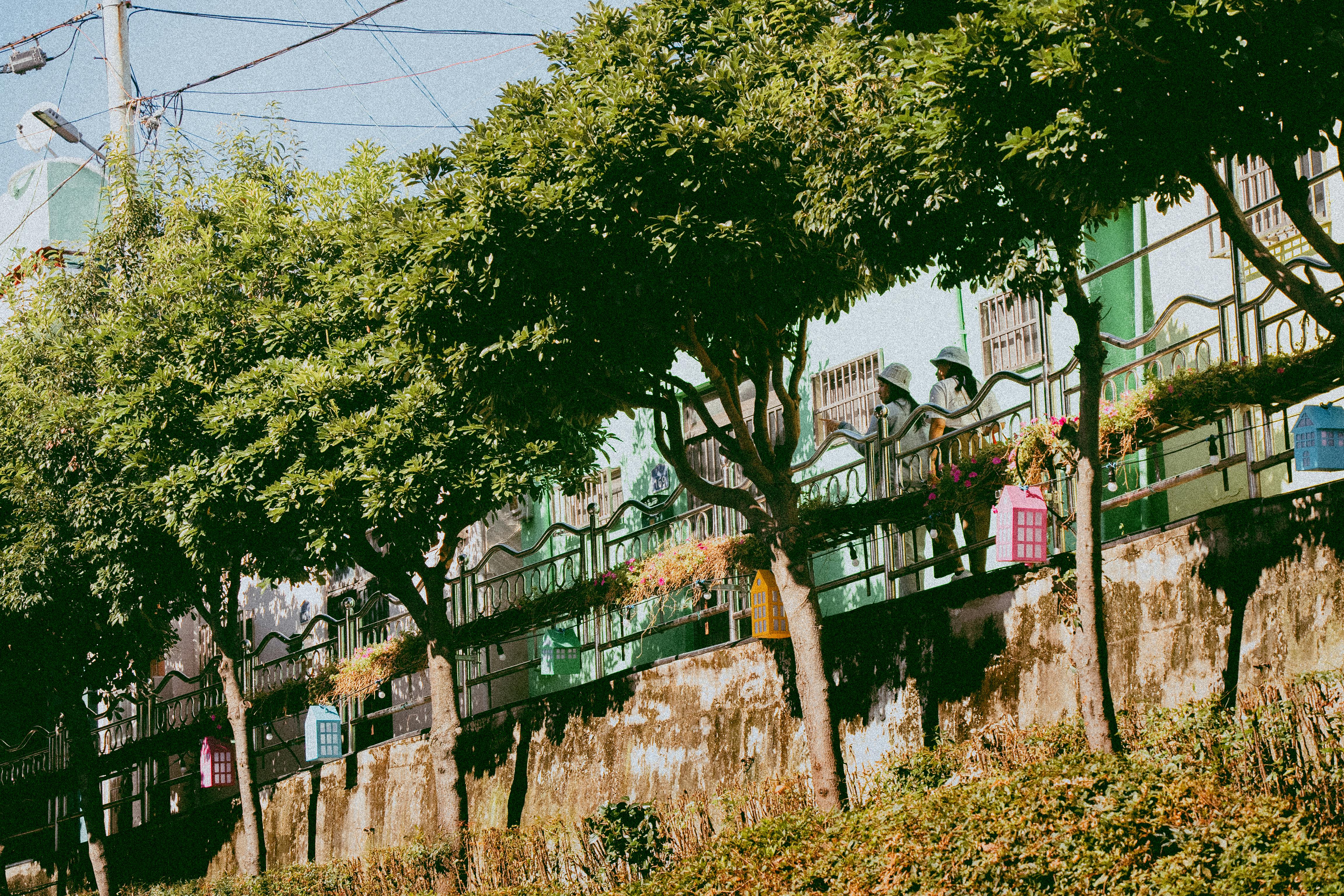 A serene city scene featuring trees, a wall, and two women in conversation near a fence.