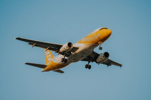 Scoot airplane captured mid-flight against a clear sky, showcasing its dynamic ascent.