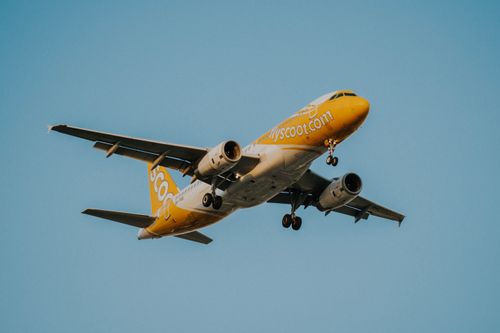 Free Scoot airplane captured mid-flight against a clear sky, showcasing its dynamic ascent. Stock Photo